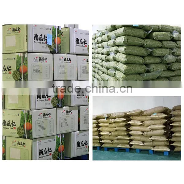 Organic Chinese Shine Skin Pumpkin Seeds Kernel Last Price photo-4