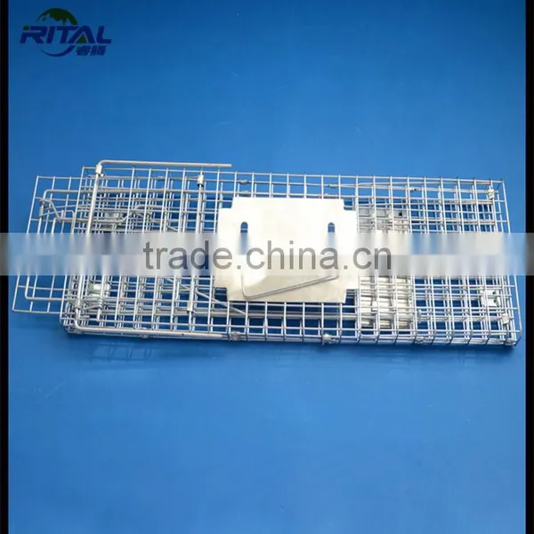 Factory Supply New Model Eco-friendly Mouse Squirrel Trap photo-2