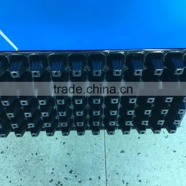 #014 Black Plastic Seedling Trays/High Quality Black Plastic Seedling Trays photo-4