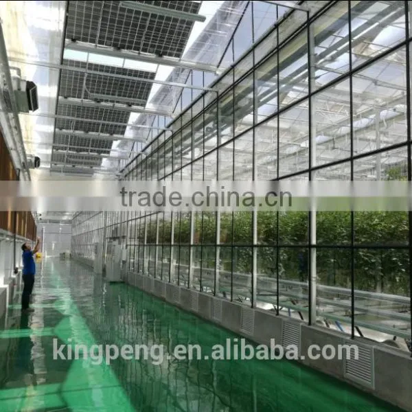Venlo Tempered Glass/float Glass Greenhouse With Hydroponic Growing photo-3