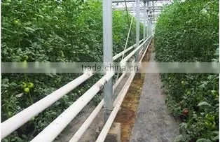 Vegetable Greenhouse photo-3