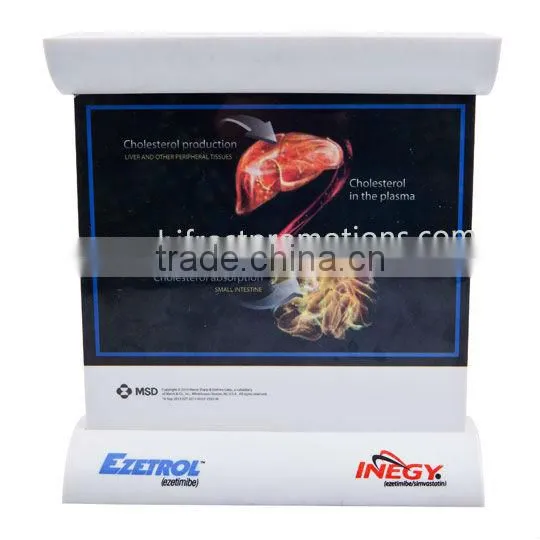 Blood Vessel Model, Dynamic Vascular Model photo-2