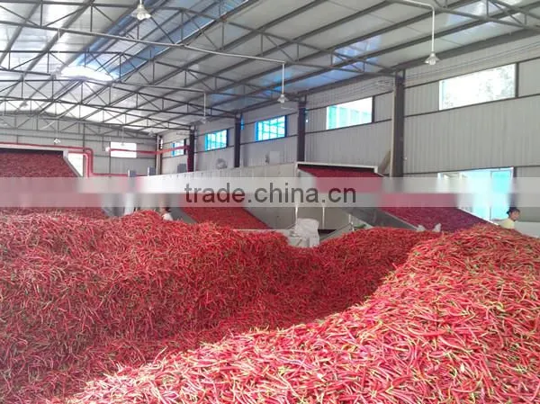 Stainless Steel Fruit Drying Machine,fruit Vegetable Mesh Belt Drying Machine,belt Drying Machine for Fruit Mango Lemon photo-5