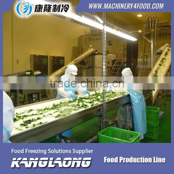New Technology Large Capacity Fruit Processing Machine photo-6