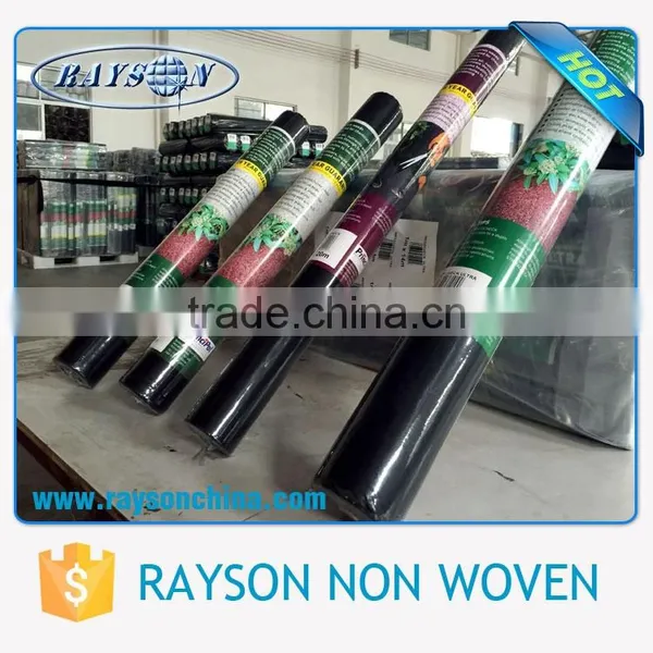 Safe and Sound Packing Shenzhen Agricultural Products photo-5