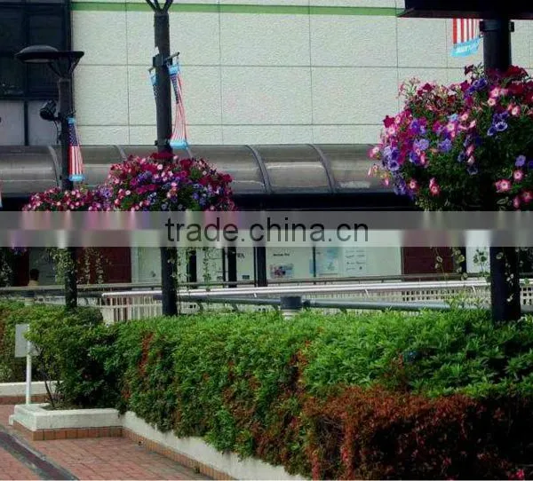 Good Design Decorative Flower Pots Small Flower Pots Decoration Cheap Flower Pots photo-6