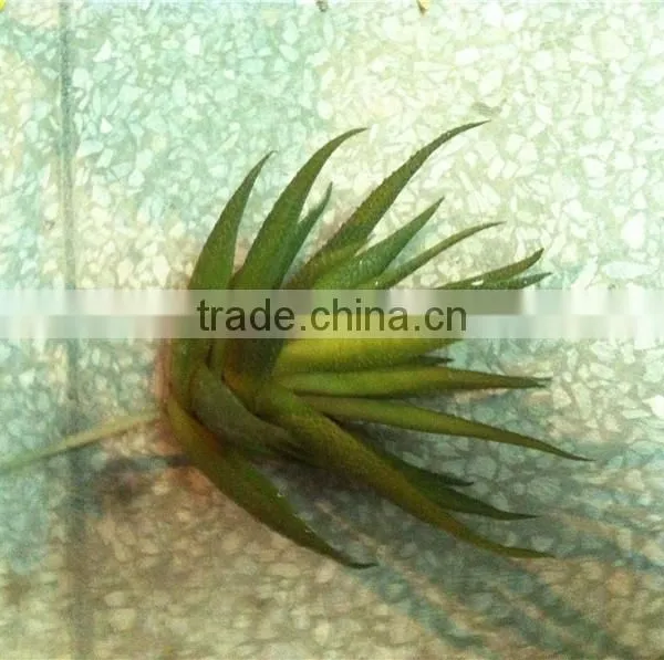 Home and Outdoor Garden Edging Christmas Decoration 60cm or 24inches Height Artificial Small Grass for Green Wall E04 1027 photo-5