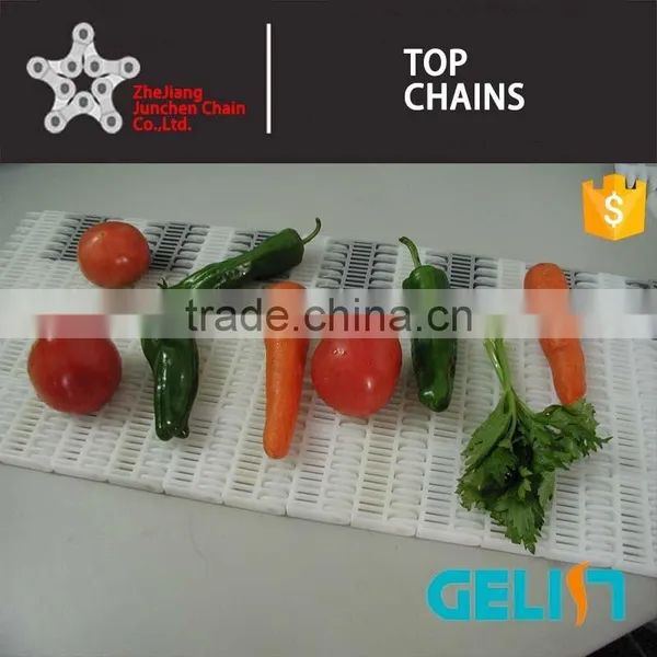 900 B-2 Series Packing Machine Plastic Chain Conveyor Belt for Food photo-2