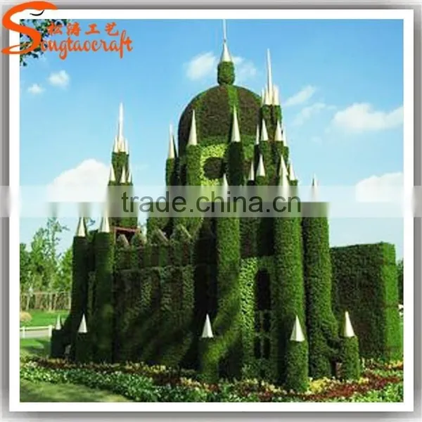 2015 Latest Designs Wholesale All Types of Ornamental Plants for Sale at Low Price photo-2