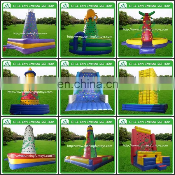 Inflatable Rock Climbing Wall, Inflatable Rock Climbing Wall Price for Sale photo-5
