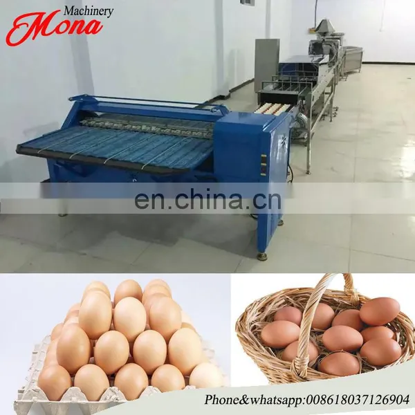 Manufacturer Egg Processing Machine / Automatic Egg Grader / Egg Weight Classifier Machine photo-4