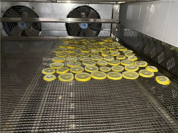 Lemon Dryer (slice Drying) photo-2