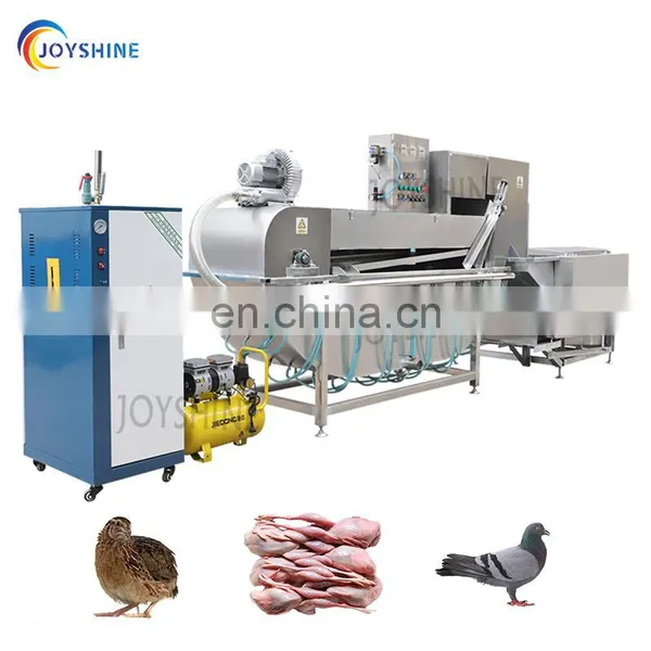 Multi-function Automatic Poultry Chicken Defeathering Scalding And Plucking Machine Slaughtering Process Machine photo-3