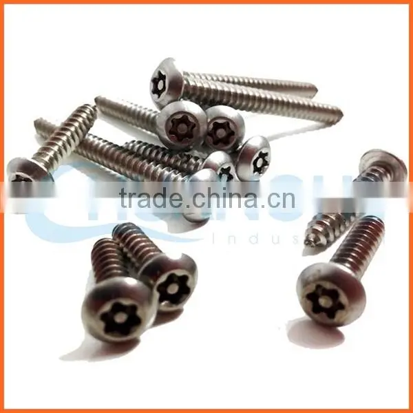 China Supplier Button Head Stainless Anti-theft Screw photo-4