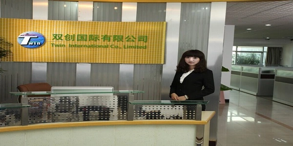 Twin International Co., Limited company overview - view 3