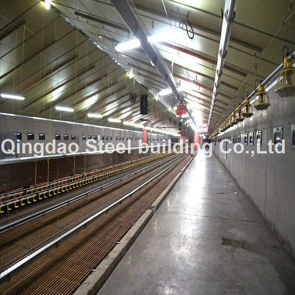 Prefabricated Steel Structure Chicken Poultry Broiler House With Hot Dipped Galvanized
