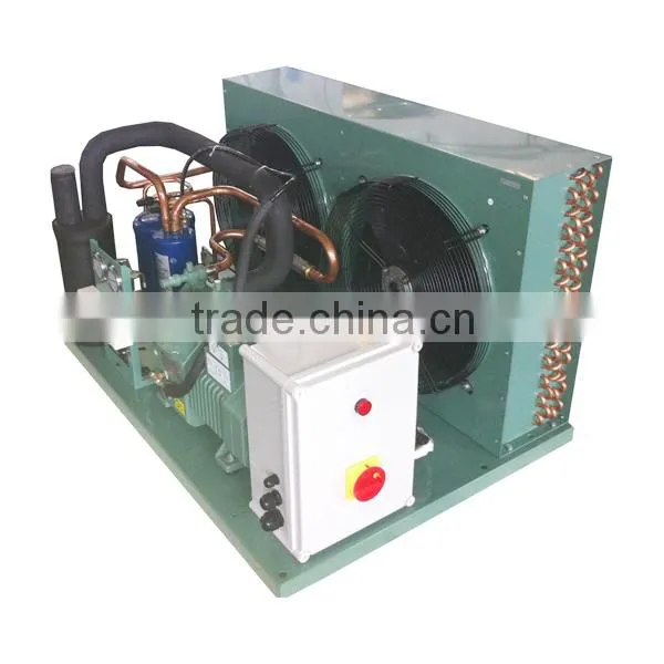 Small Black Garlic Cold Room With Machine photo-4