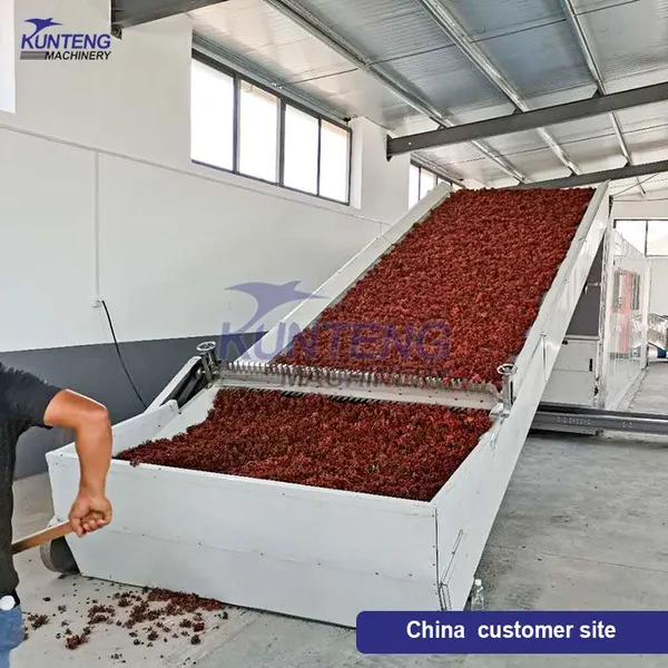 Industrial Chili Spice Mesh Belt Dryer Chili Drying Grinding Packaging Production Line EPC photo-3
