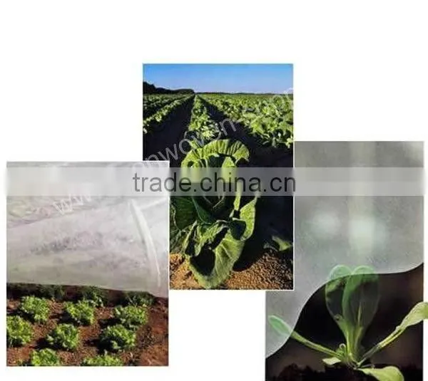 Non-woven Landscape Ground Cover Supplier photo-2