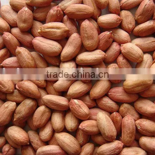 Roasted and Salted Peanut