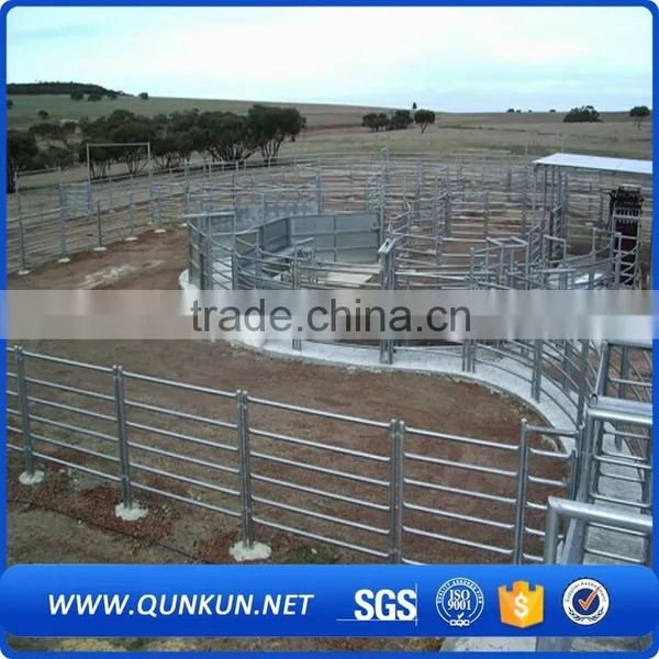 Fences for Horses Used Sheep Yard Panels 2016 Qunkun Anping China photo-4
