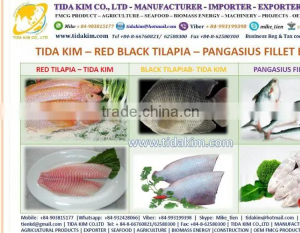 TIDA KIM ITOYORI SURIMI FROZEN BIG EYE SNAPPER ESO SEABREAM MIX GS 500 700 900 LOBSTER SHRIMP CRAB KINTOKIDAI GUCHI KOCHI RIBBON photo-2