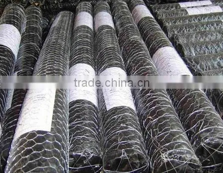 Galvanized Hexagonal Wire Netting photo-2