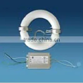 40W electrodeless lamps
