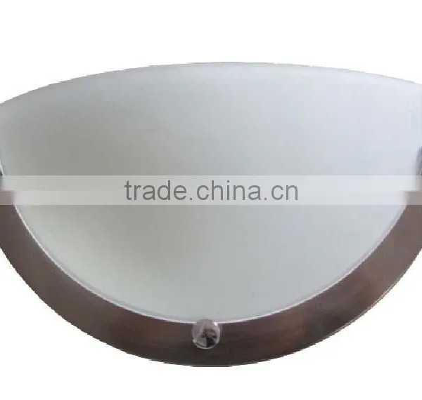 LEDwhiteness ceiling lamp
