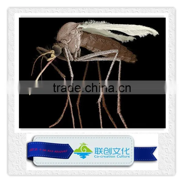 Life Size Simulation Mantis and Other Insects photo-3