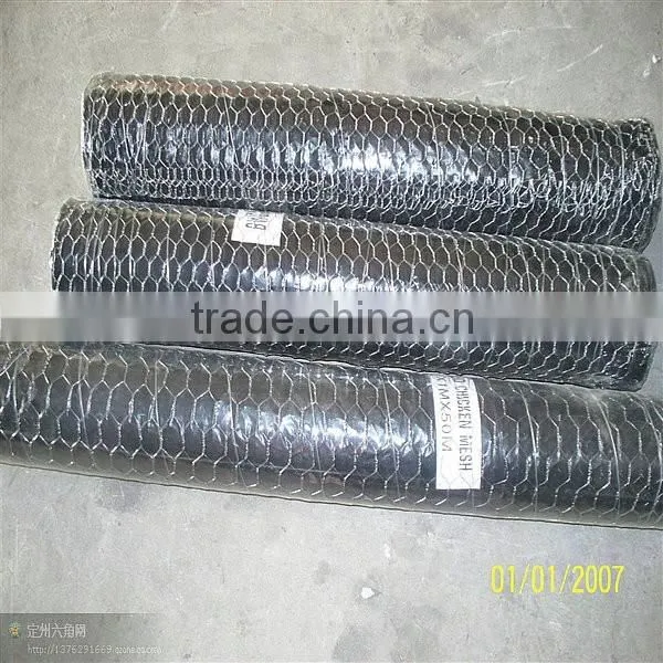 1/4 Inch Galvanized Chicken Wire Mesh photo-2