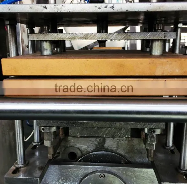 Automatic Medicine Blister Packing Machine photo-3