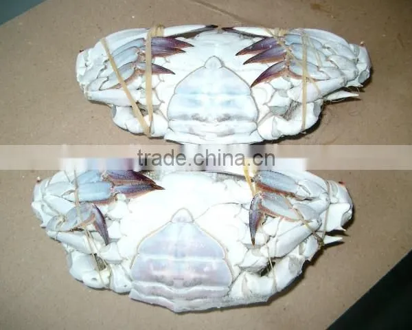Frozen Blue Swimming Crab for Sale photo-6