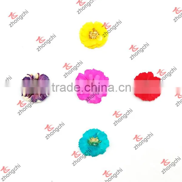 Fashion Colorful Nature Dry Hibiscus Flowers for Lockets Gifts (NDF50822)