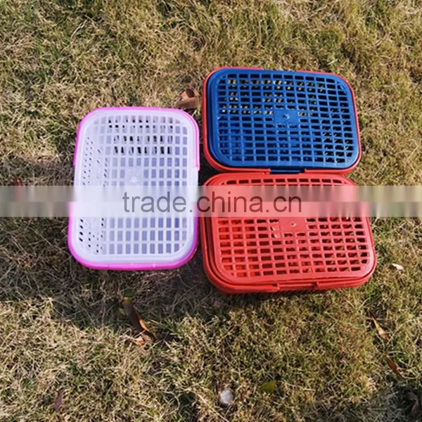 Taizhou New Injection With Handle With Lid Plastic Fruit Basket Mould photo-2