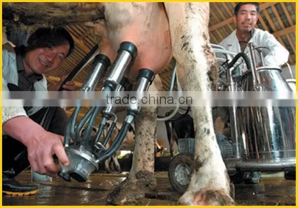 New Style Cow Milking Machine for Sell photo-2