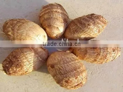2015 CHINA NEW TARO photo-2