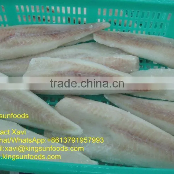 Wholesale New Frozen IQF Alaska Pollock Fillet With Good Price photo-4
