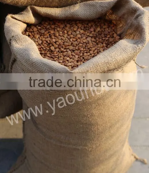 Bitter Apricot Kernels photo-3