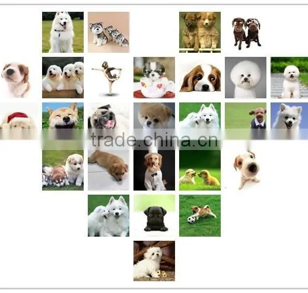 Dog Finger Toothbrush / Dog Cat Pet Silicone Toothbrushes photo-6