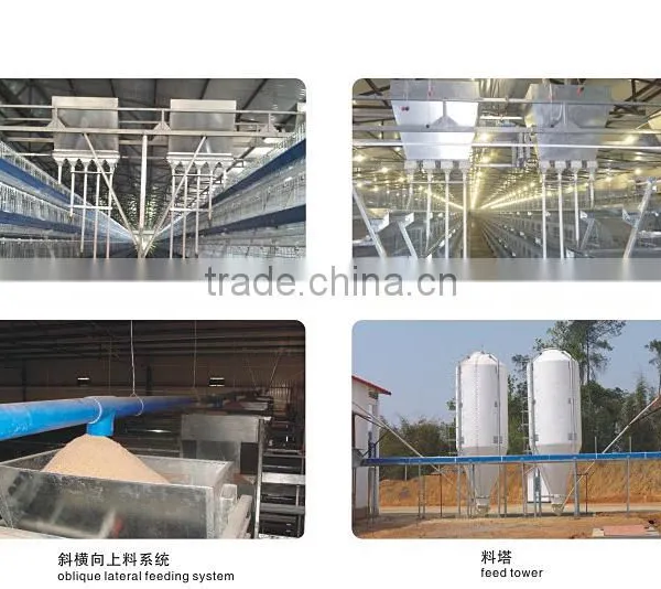 Battery Chicken Cage/layer Chicken Battery Cage/chicken Layer Cage for Sale photo-2