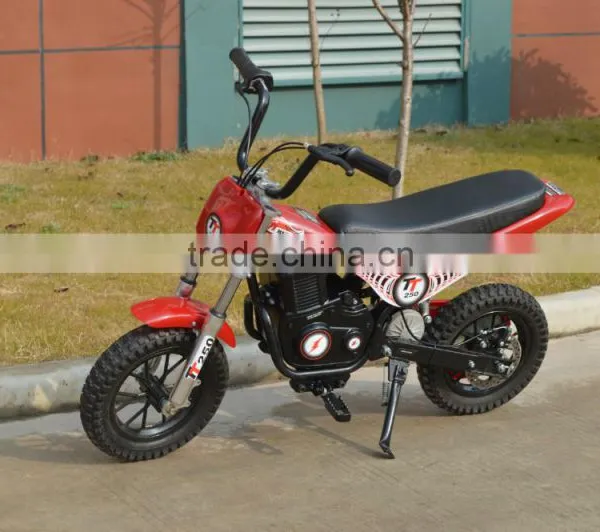 250W Scoote Battery Power With CE Certificate photo-2