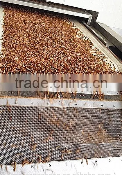 25mm 100% Pure Natural Freeze Dried Mealworms For Bird Food photo-2