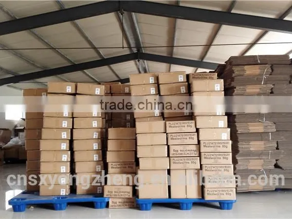 Factory Price Microwave Dried Pet Food Yellow Mealworms;Microwavce Dried Tenebrio Molitors For Pet photo-5