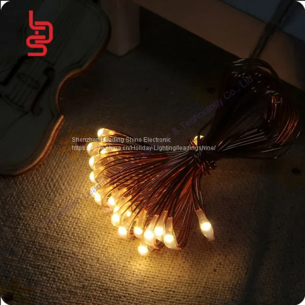 LED Copper String Light 20 Led 10 cm Spacing photo-2