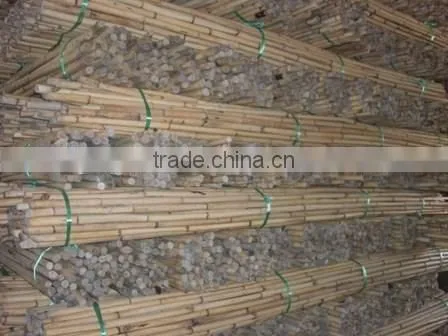 White Malacca, Mantang, Malacca, White Cane, Rattan, Cane, Rattan Cane, Rattan Pole, Pole, Cane Pole photo-2