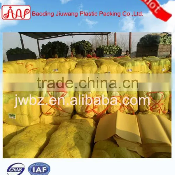 Plastic Circular Mesh Net Bags for Sale photo-6