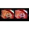 Horizontal Scrolling P20 Outdoor Led Display Full Color IP 65