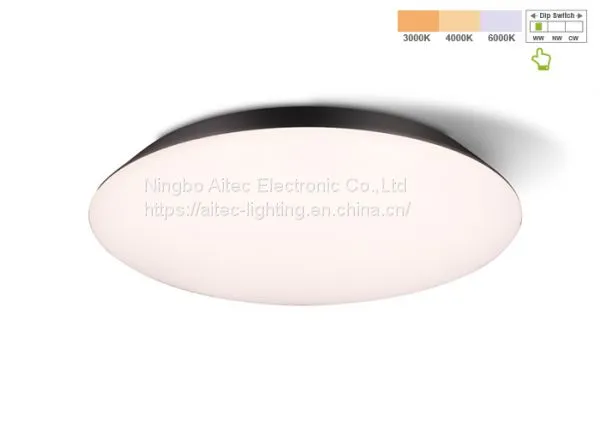 Modern design style LED Ceiling lights Oyster luminaire