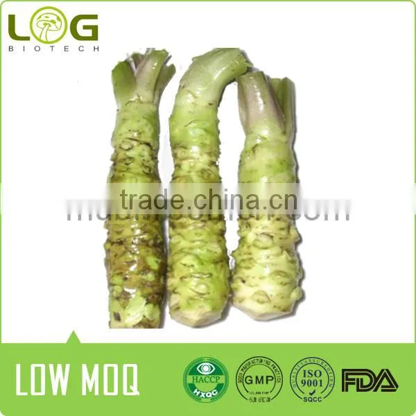 100% Pure Real Wasabia Freeze Dried Wasabi Powder photo-2
